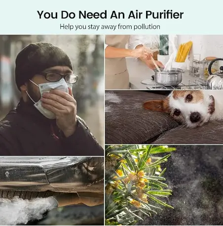 meilleur purificateur air 2024