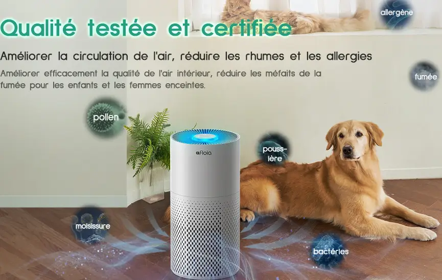 purificateur air afloia avis & test